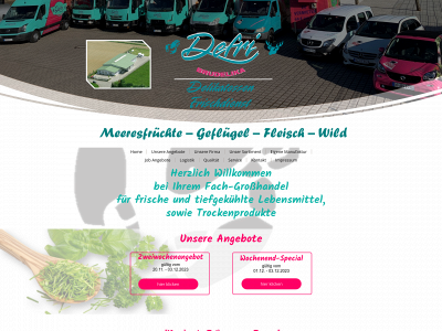 defri-brudelika.de snapshot