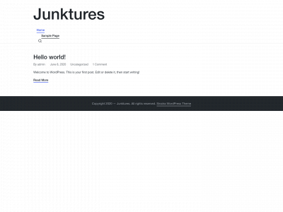 junktures.com snapshot