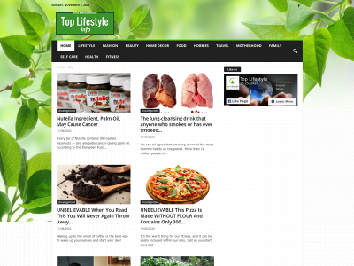 toplifestyleinfo.com snapshot