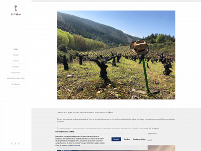 13viñas.com snapshot