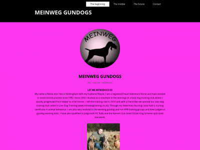 meinweg.co.uk snapshot