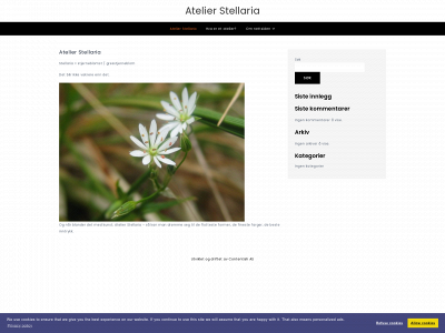 atelierstellaria.no snapshot