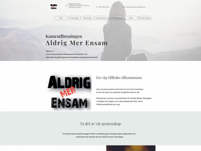 aldrigmerensam.com snapshot