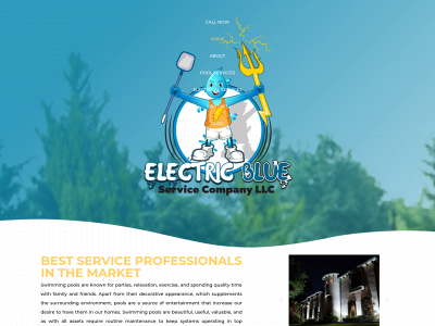 electricblueservice.com snapshot