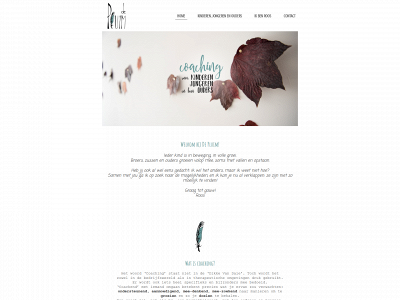 pluimcoaching.be snapshot