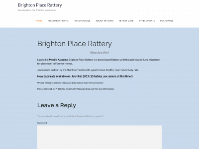 brightonplacerattery.com snapshot