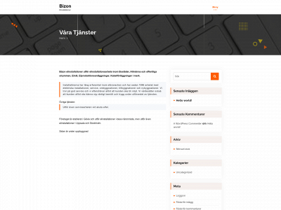 bizon.in snapshot