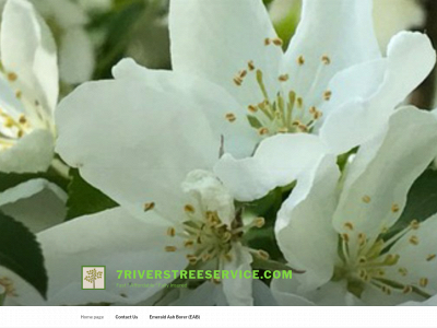 7riverstreeservice.com snapshot