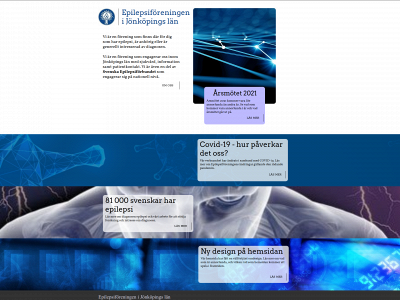 epilepsijkpg.se snapshot