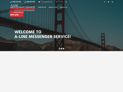alinems.com snapshot