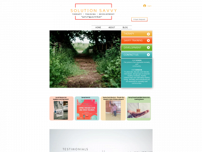 solutionsavvyllc.com snapshot