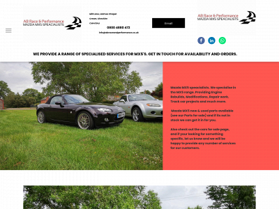 abraceandperformance.co.uk snapshot