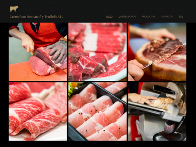 carns-esca.net snapshot