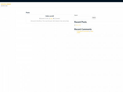 electrodubai.com snapshot