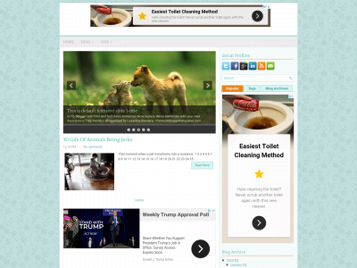 goforanimals.com snapshot