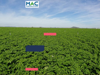 macagrosolutions.com snapshot