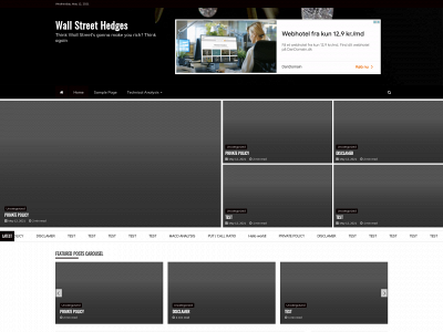 wallstreethedges.com snapshot