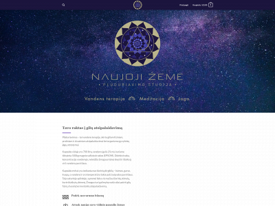 naujojizeme.lt snapshot