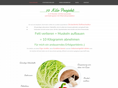10kiloprojekt.de snapshot
