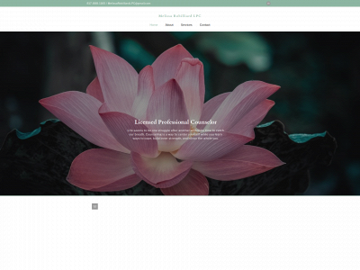 melissarobilliardlpc.com snapshot