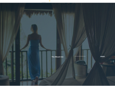 model2020.net snapshot
