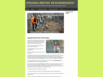 deriosmenudos.es snapshot