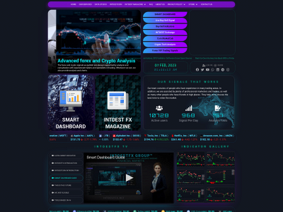 intdestfx.net snapshot