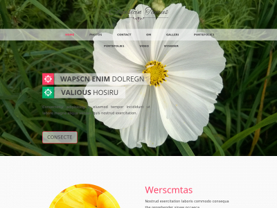 inkarneredeengle.dk snapshot