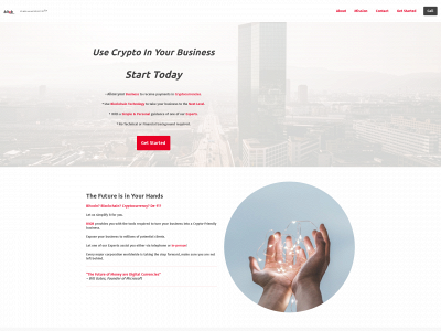 bit2b.com snapshot