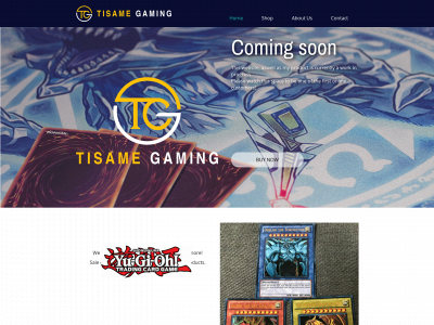 tisame-gaming.eu snapshot