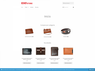 kmfstore.es snapshot