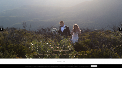 rachelhphotography.com.au snapshot