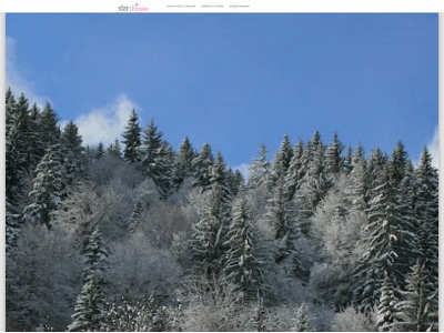 starskichalets.com snapshot