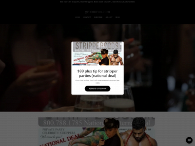 groomrun.com snapshot