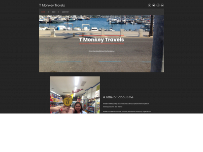 tmonkeytravels.com snapshot