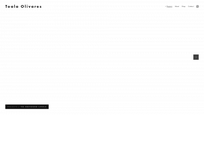 toalaolivares.com snapshot