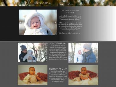 fridasfotosida.se snapshot