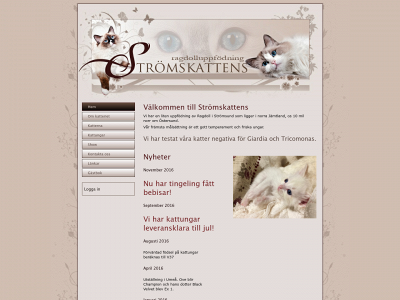 stromskattens.se snapshot