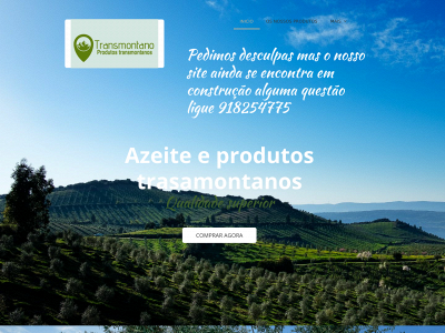 transmontano.pt snapshot