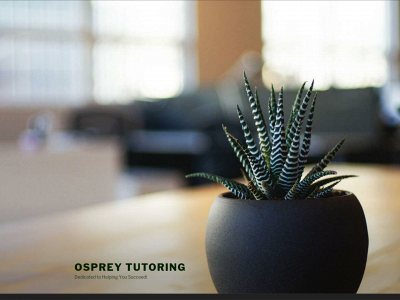 ospreytutoring.com snapshot