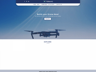 terbangaerosystems.com snapshot