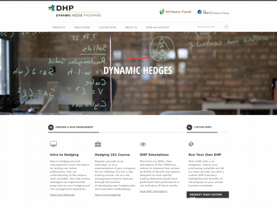 dynamichedgeprograms.com snapshot