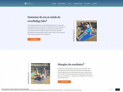 designditliv.dk snapshot