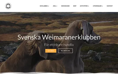 weimaranerklubben.se snapshot