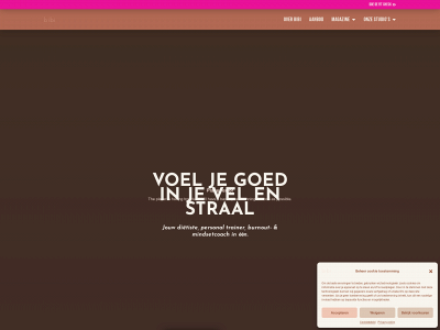 bibiantwerpen.be snapshot