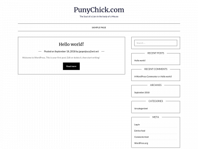 punychick.com snapshot
