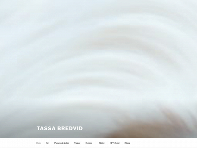 tassabredvid.se snapshot