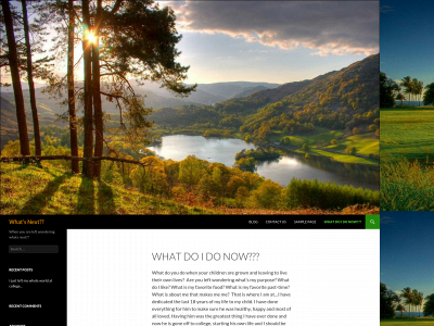 whatdoidowithmylifenow.com snapshot