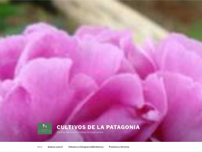 cultivopatagonia.com snapshot