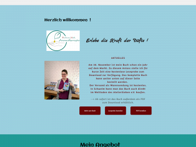 bm-aromatherapie.de snapshot